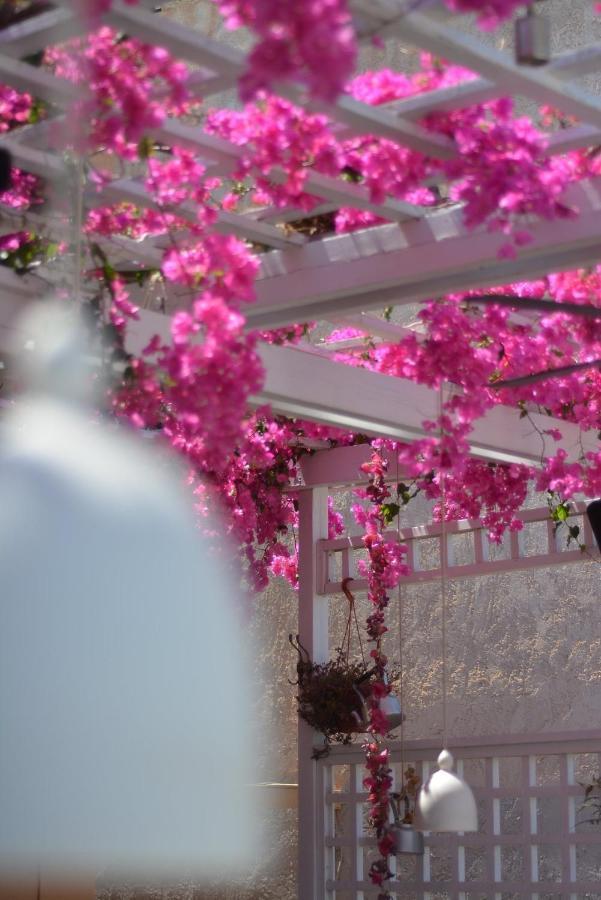Villa Iokasti Χερσόνησος Εξωτερικό φωτογραφία